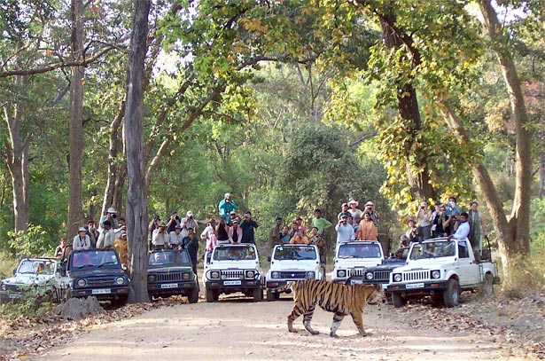 national parks in india